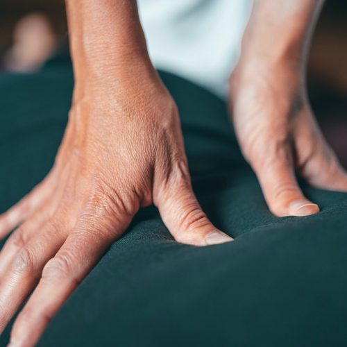 Shiatsu dos zoom Shiatsu dos zoom