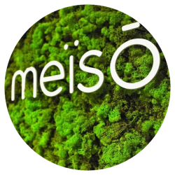 logo_meiso_lyon-1.png